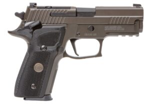 P229 LEGION 9MM SAO OR 10+1