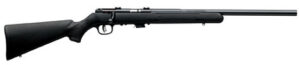 MARK II BOLT 17HM2 BL/SY 10+1