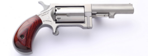 SIDEWINDER 22MAG 2.5" SS