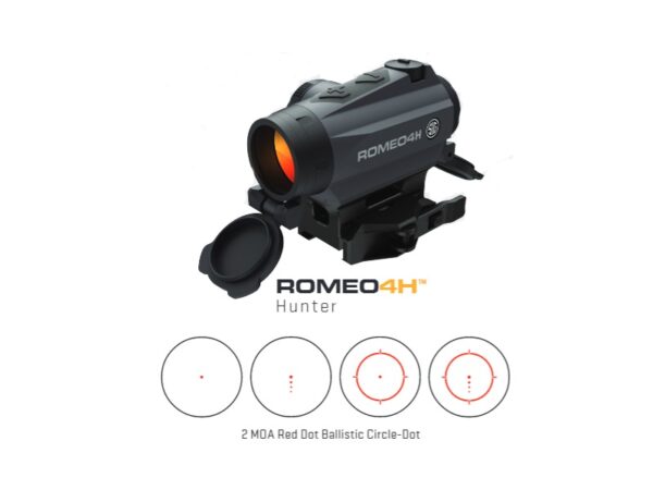 ROMEO4H 1X20 CRCLEDOT TORX/QR