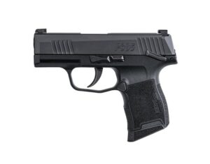 P365 380ACP BLK 10+1 NS SFTY