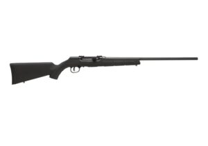 A17 17HMR BL/SYN 22" 10+1 AT