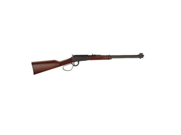 LEVER ACTION 22MAG LG LOOP