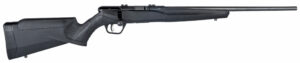 B22 22LR BLK/SYN 21"