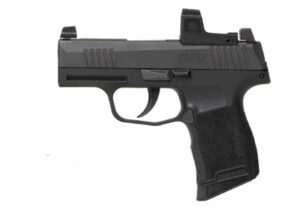 P365 380ACP ZERO ELITE 10+1 #