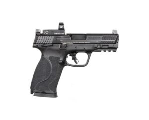M&P10MM M2.0 10MM 4.6" TS PKG